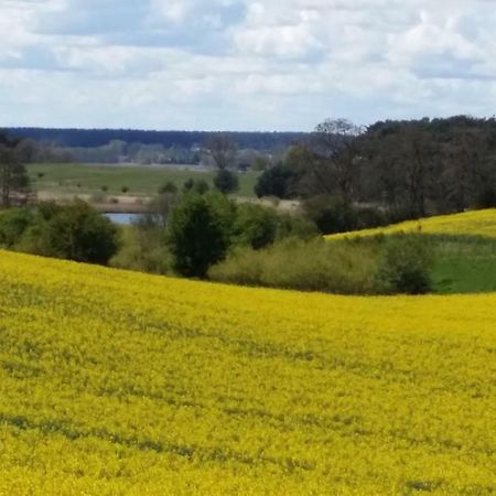 Ferienhaus Storchenweg Mahlzow ภายนอก รูปภาพ